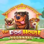 the dog house megaways
