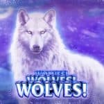 Wolves! Wolves! Wolves!